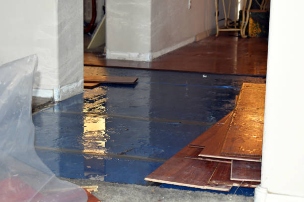 Professional Burst Pipe Cleanup technician working in Laramie, WY